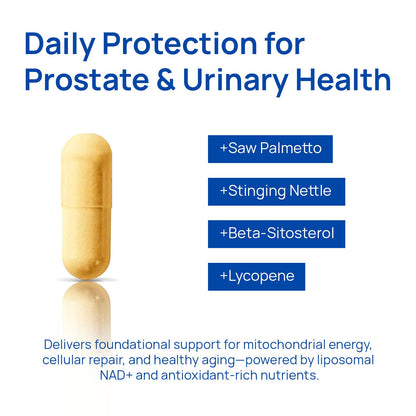 Oraganic™ NAD+ Supplement for Men