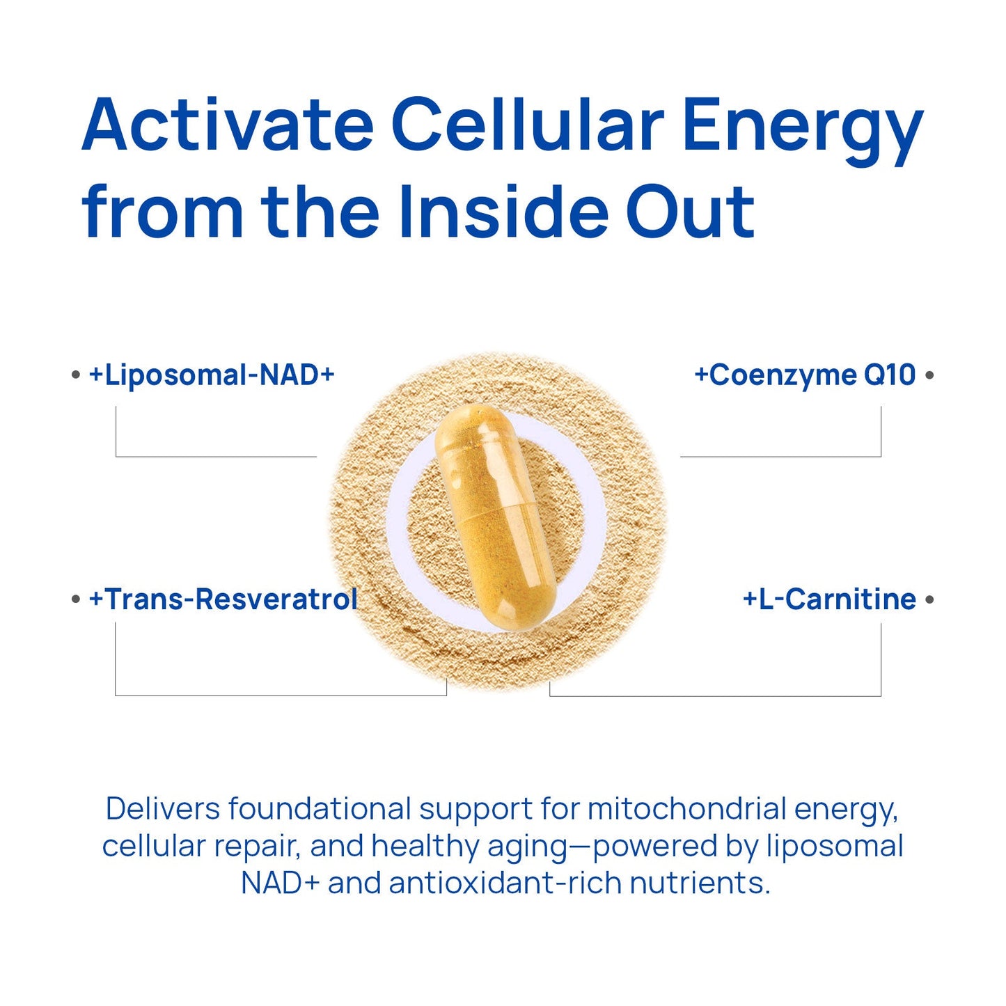 Oraganic™ NAD+ Supplement for Men